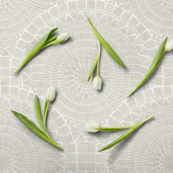 Greco Cosse - Basics