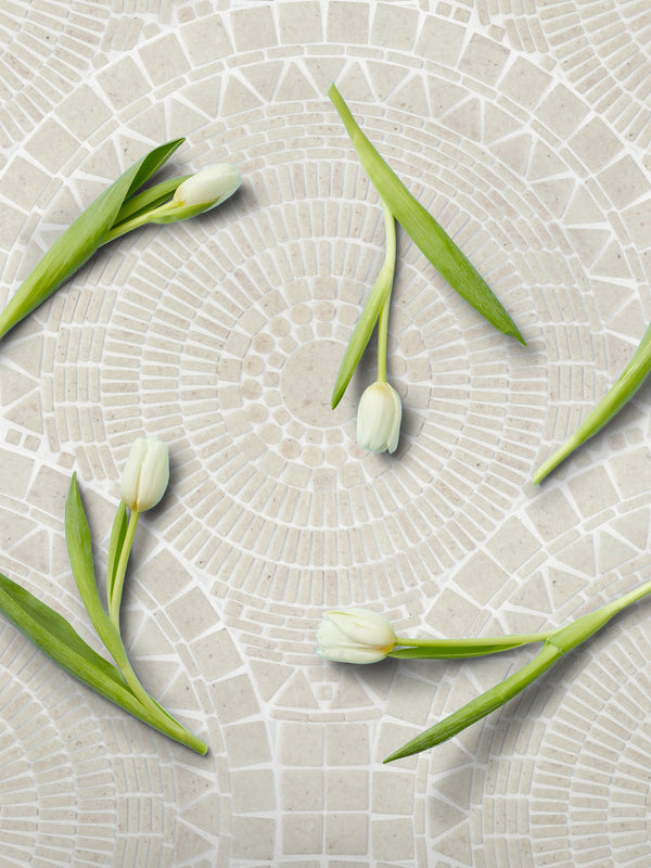 Greco Cosse - Basics